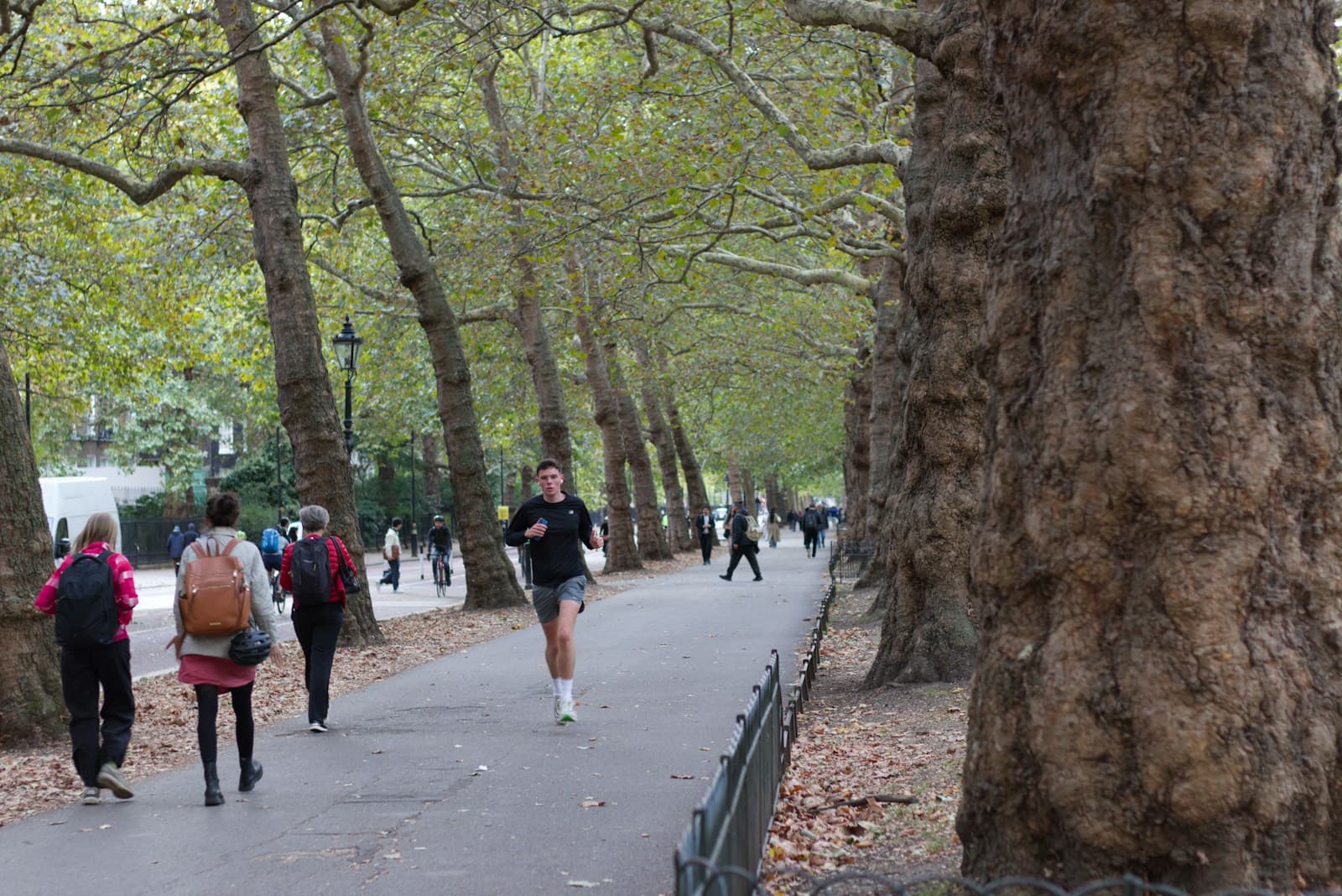 A jogger on a tree-lined park path on a crisp autumn morning