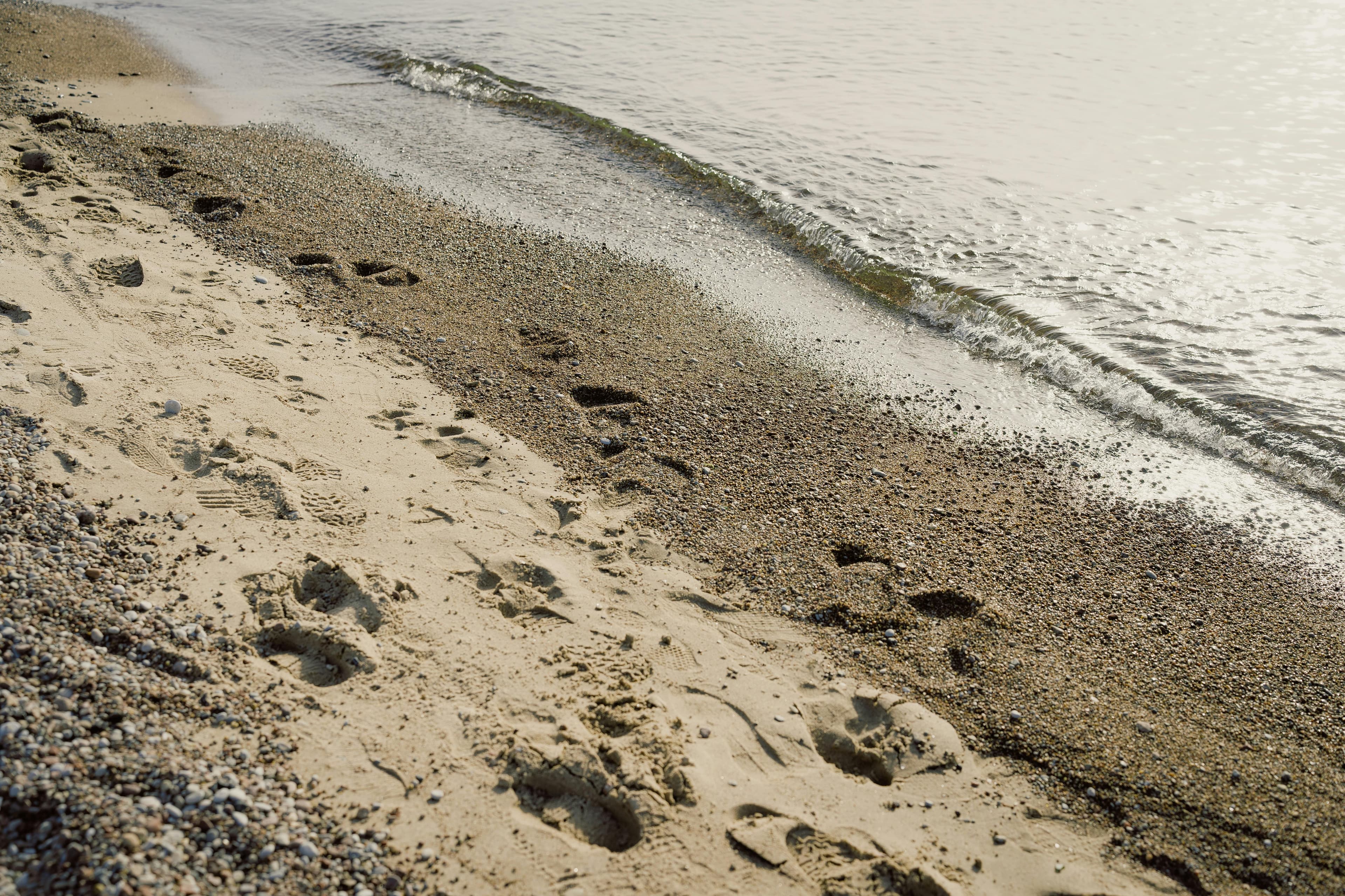 A person walking the tide line on a quiet beach