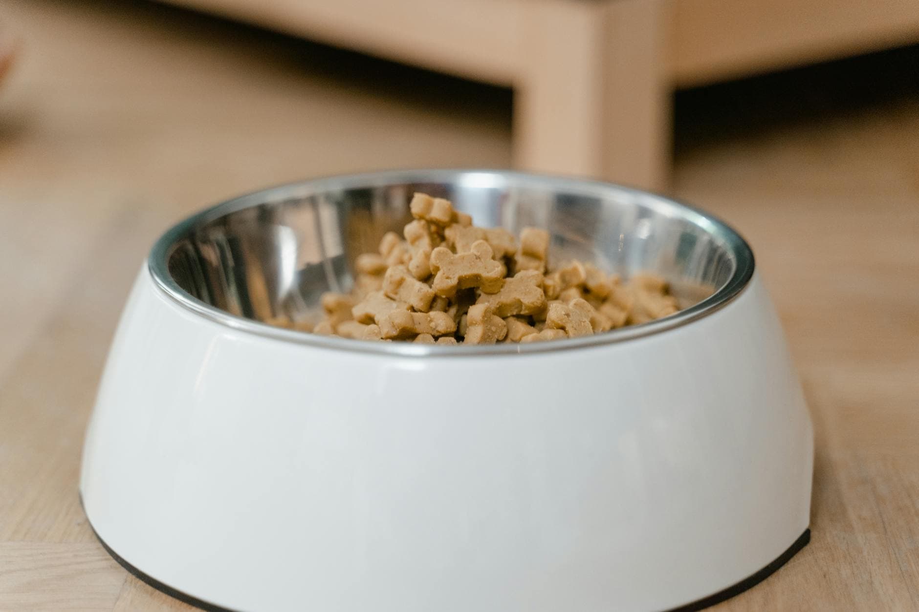 A dog eating from a bowl at home